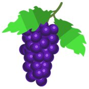 Grapes 1