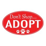 Adopt Don t Shop