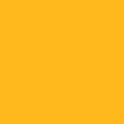 Yellow Gold   1235C