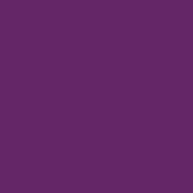 Plum Purple - PMS 269C  (1680)
