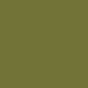 Military Green - PMS 7749C (1969)