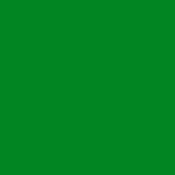 Turf Green - PMS 2258C  (1650)