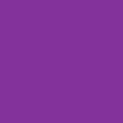 Sangria Purple - PMS 2593C (1880)