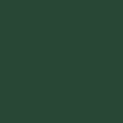 Dark Green - PMS 553C (1703)