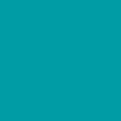 Turquoise - PMS 320C (1799)