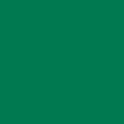 Christmas Green - PMS 341C (1750)