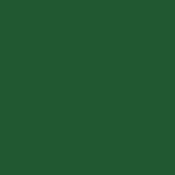 Forest Green - PMS 357C (1851) 