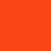 Bright Orange - PMS 172C (1837)