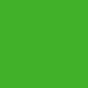 Spring Green- PMS 361C (1701) 