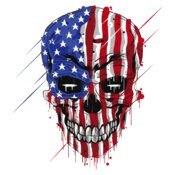 USA Skull