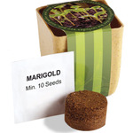 Flower Pot Set With Marigold Seeds